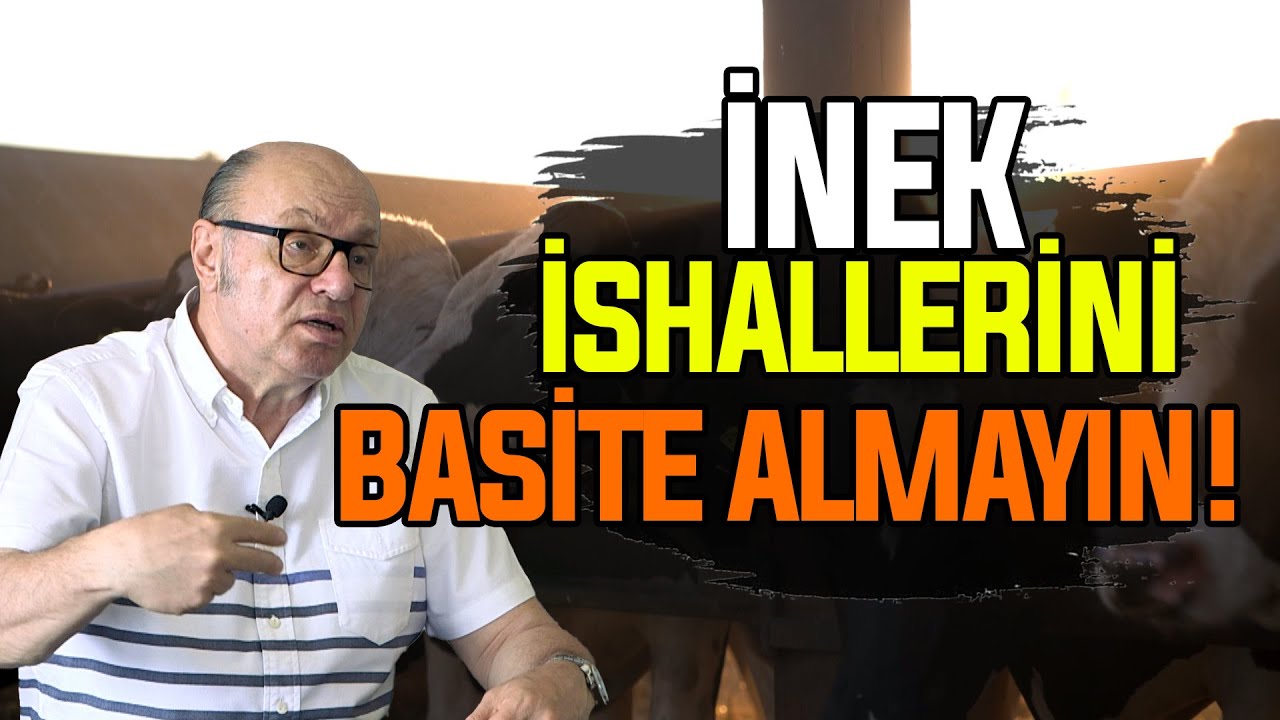 İnek İshallerini Ciddiye Alın!