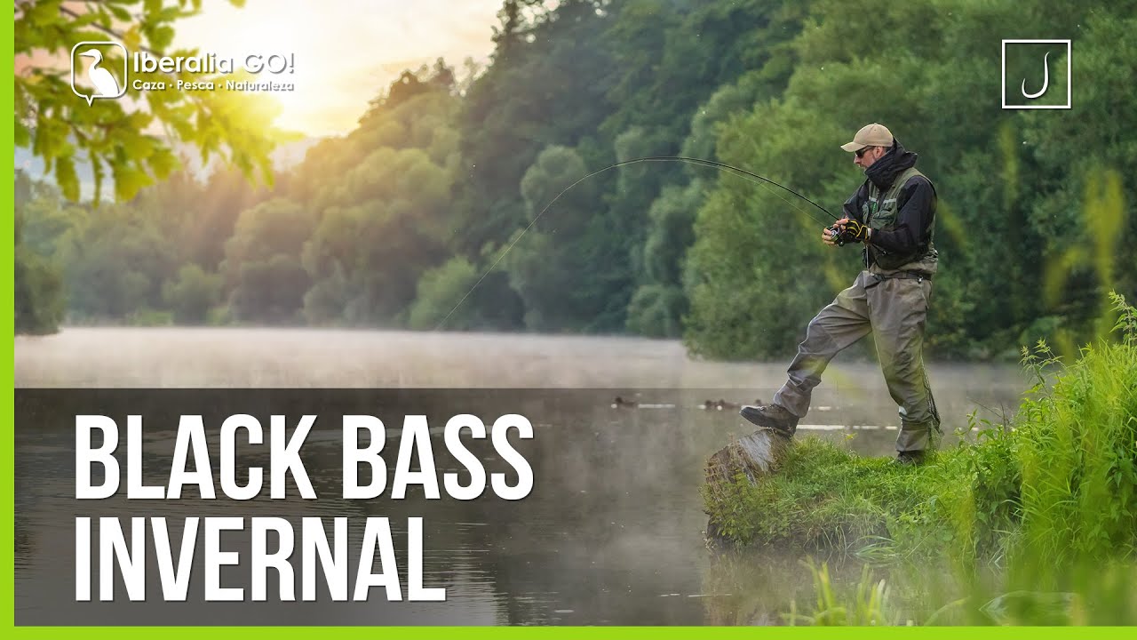 Black Bass Invernal | Iberalia GO!
