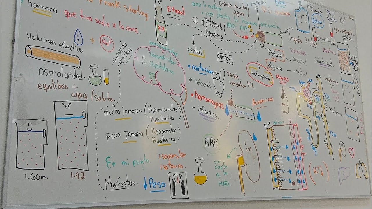 Clase 2 de FisiopatologÍa