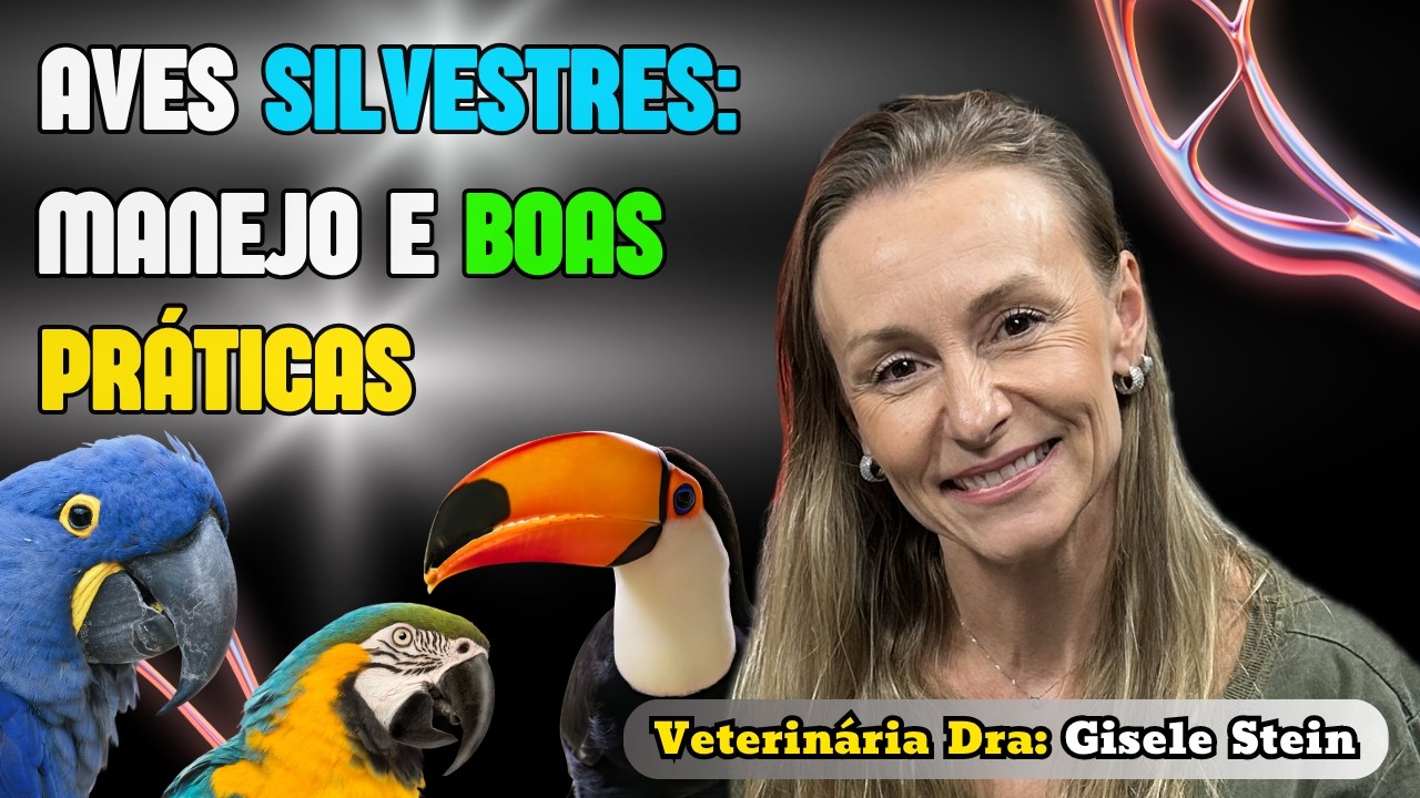 Manejo de aves silvestres: segredos da pr&aacute;tica