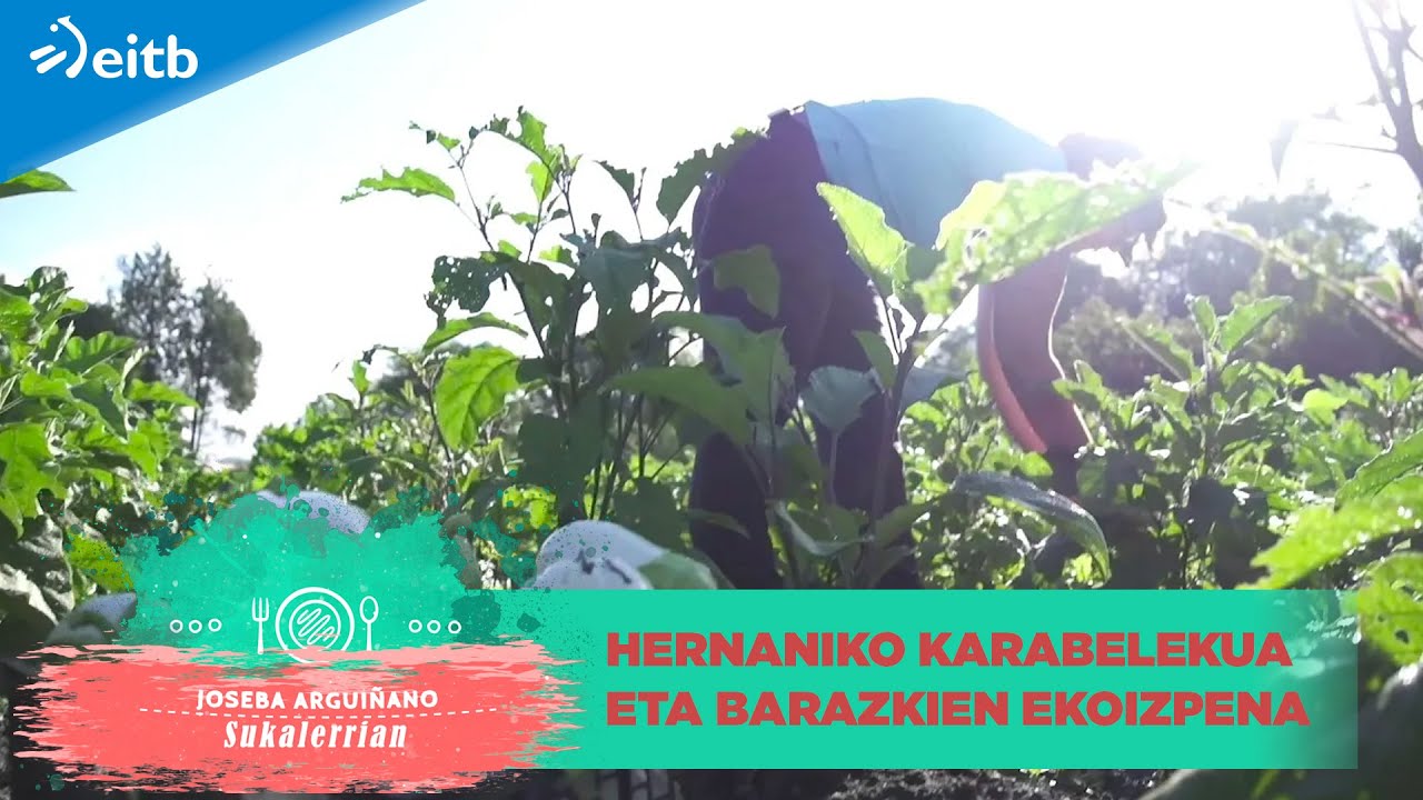 Barazki barietate ugari ekoizten saiatzen dira Hernaniko Karabelekon