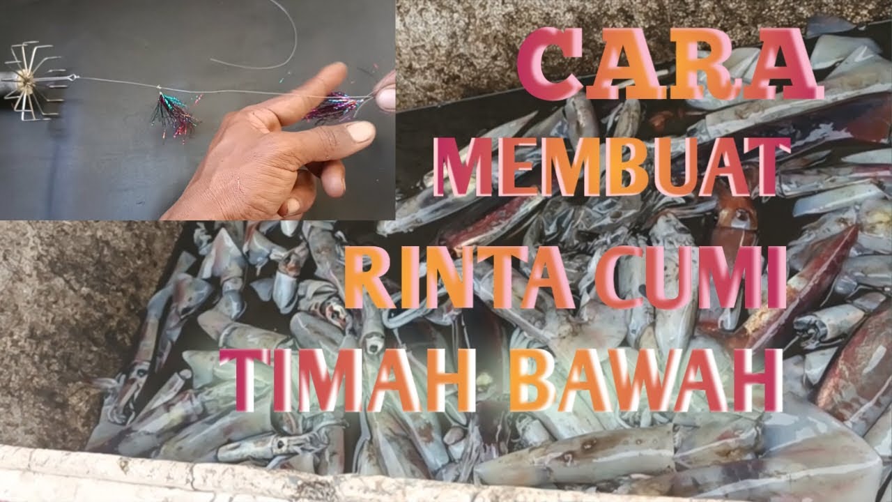 Cara membuat rinta cumi timah bawa