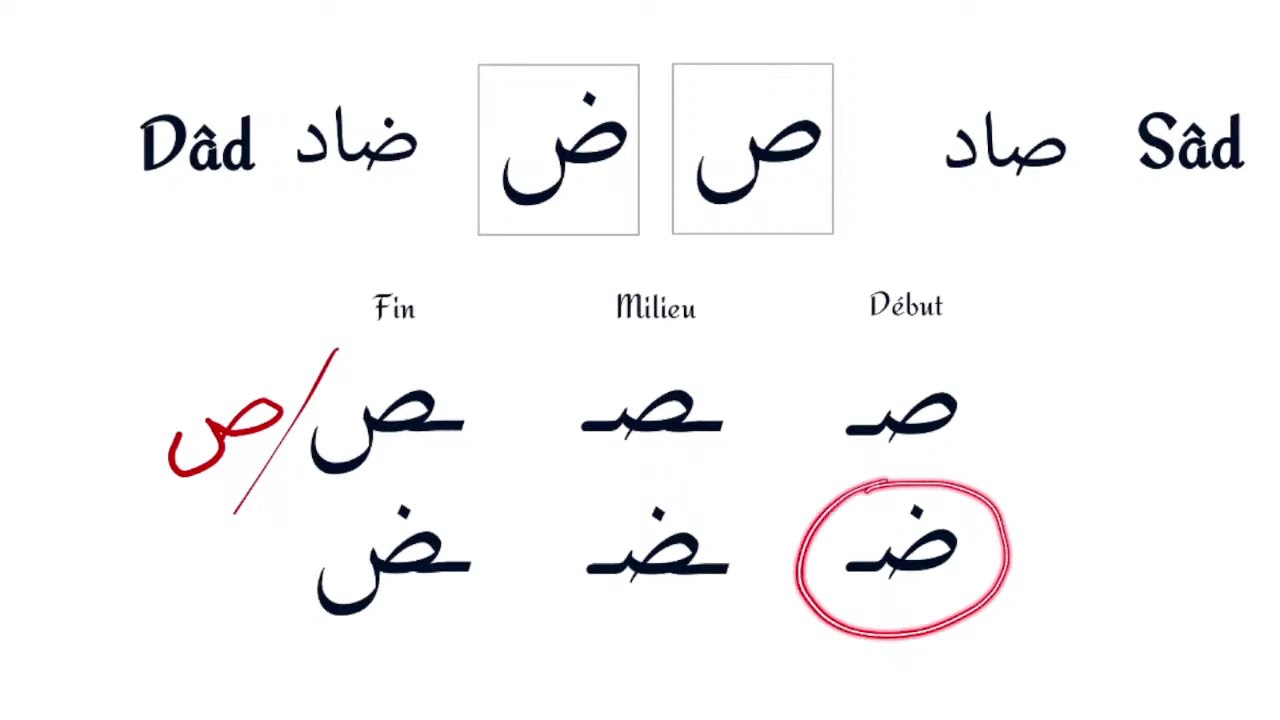 Leçon d'arabe 14: les lettres Sâd et Dâd (ص ض)