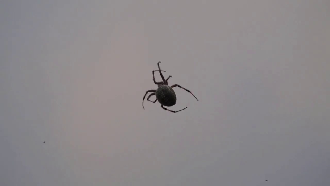 The Internet of Experiences: NFC infused Rainbow Spider