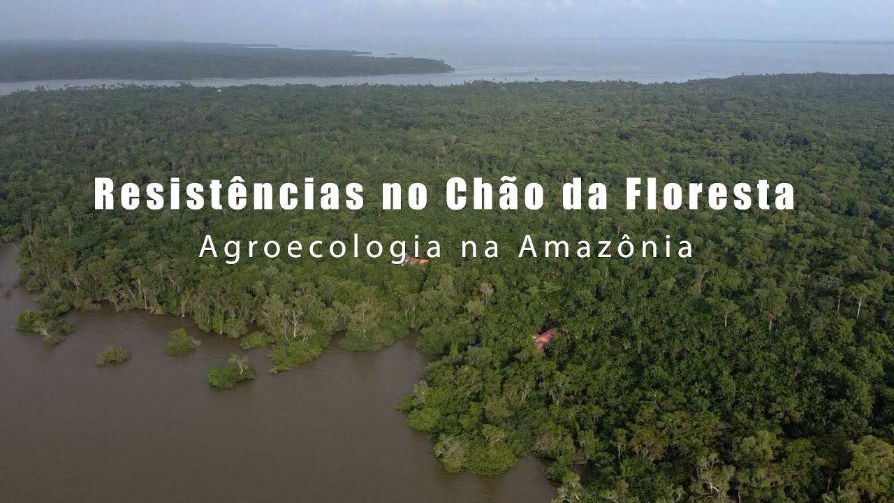 Document&aacute;rio Resist&ecirc;ncias no Ch&atilde;o da Floresta: Agroecologia na Amaz&ocirc;nia