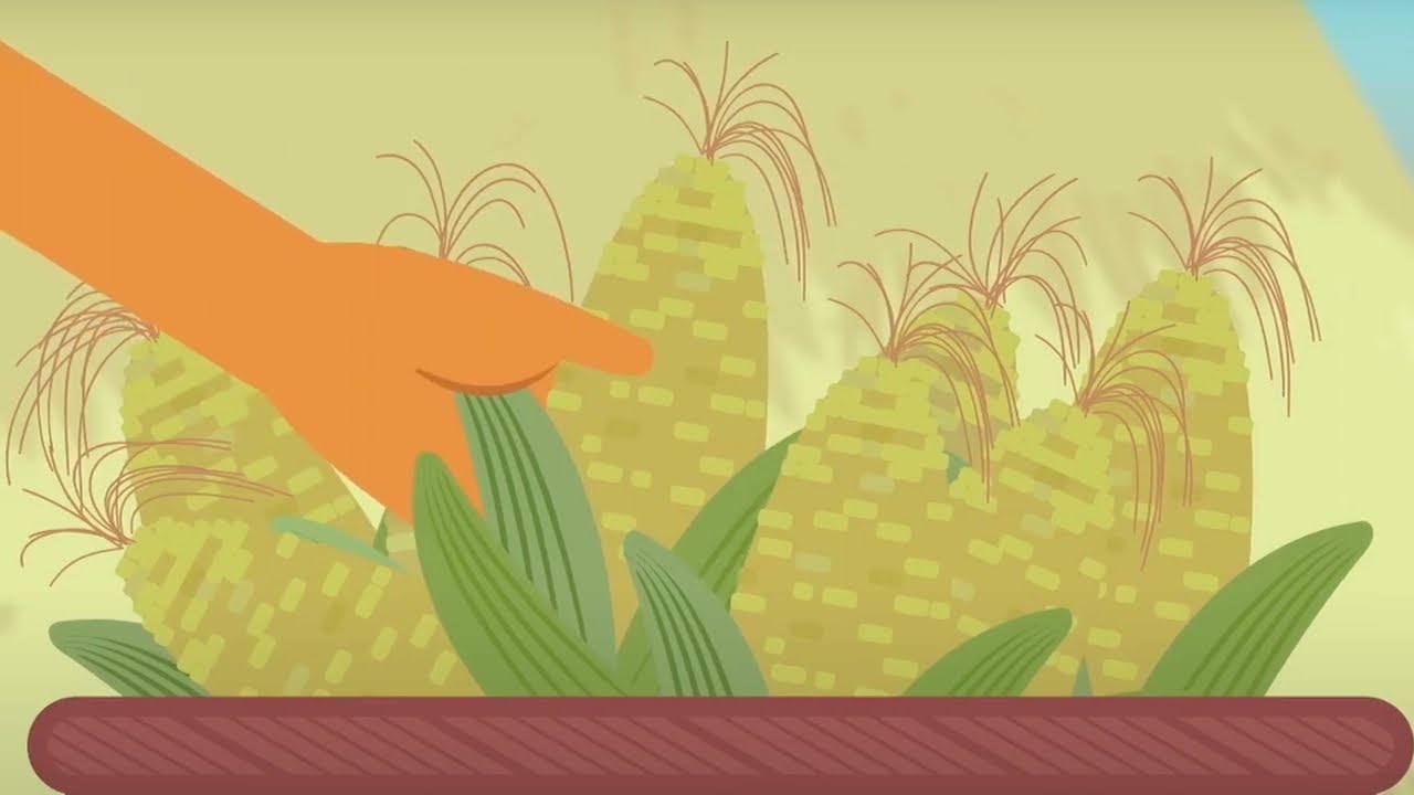 Taller La vida en la época precolombina MNCR