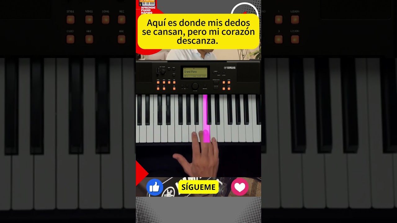 Aquí es donde mis dedos se cansan pero mi corazón descansa.
