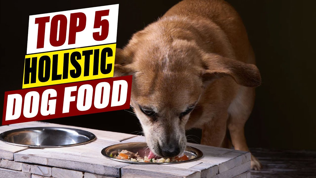 Best Holistic Dog Food: Natural & Nutrient-Rich Options for Your Dog's Health