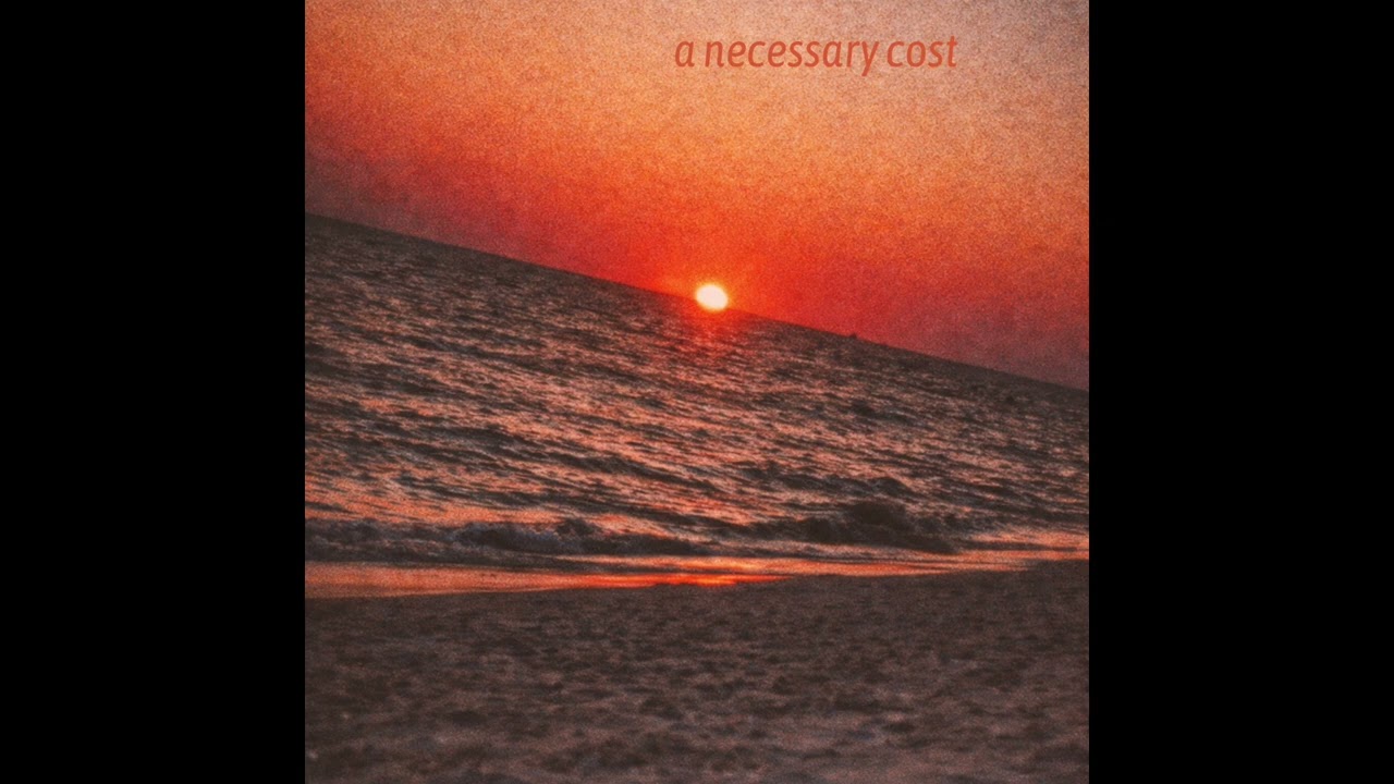 A NECESSARY COST (Instrumental)