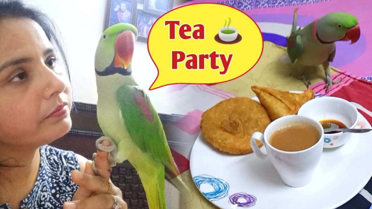 Mummy ki Tea party me Pablo ki Mastiii 😜
