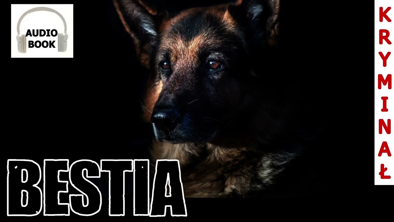Bestia (seria Bliskie Zło) - kryminał