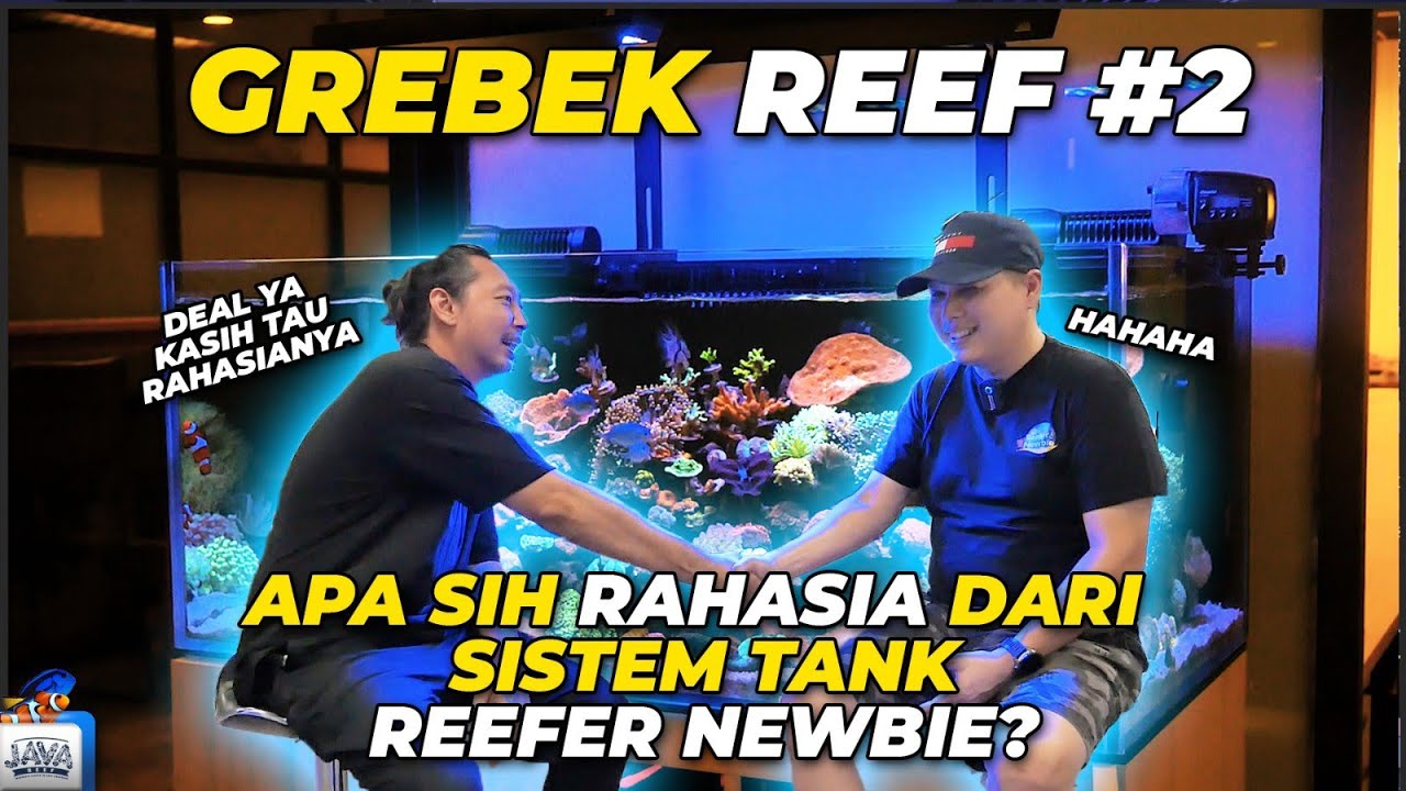 GREBEK REEFER PART 2 - BONGKAR RAHASIA SISTEM TANK REEFER NEWBIE