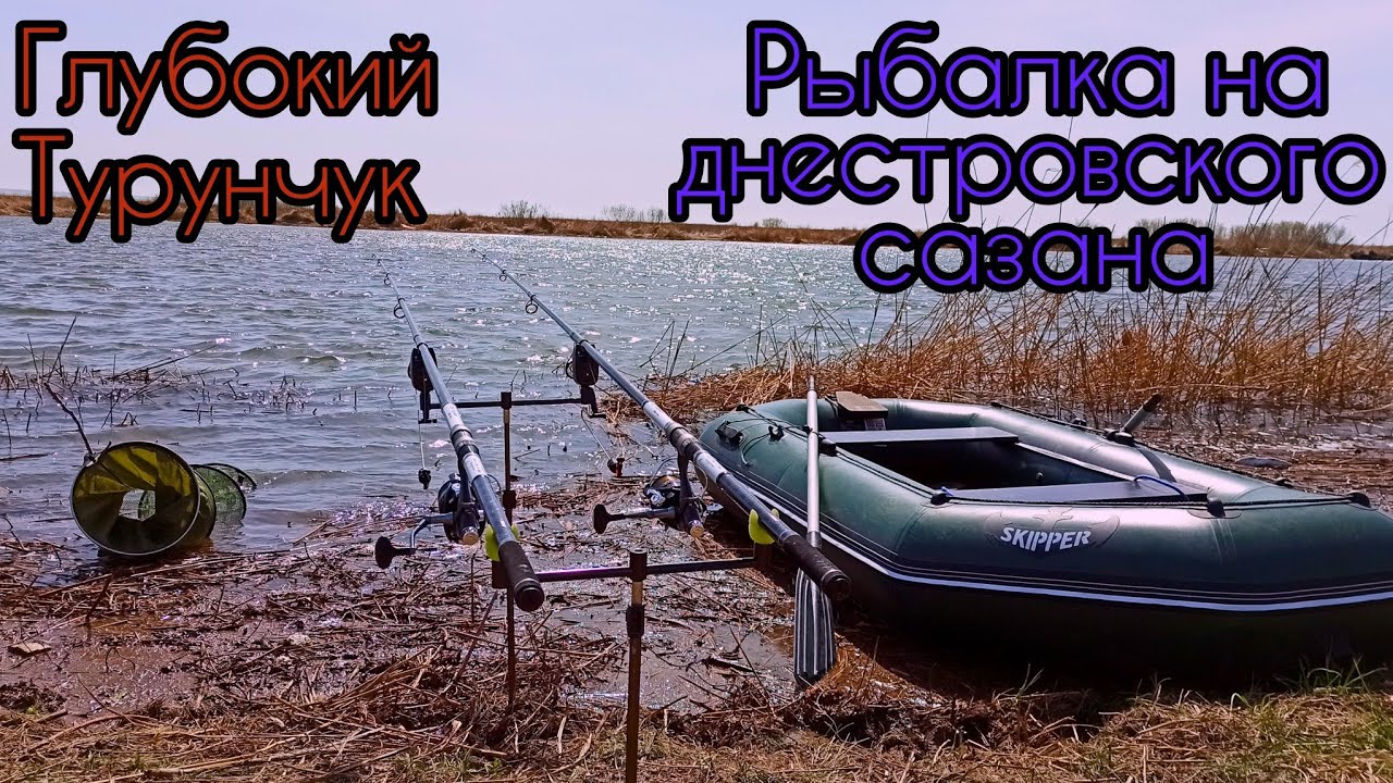 Рыбалка на Глубоком Турунчуке.Днестровский сазан на горох#рыбалка2024#сазан#Турунчук#горох