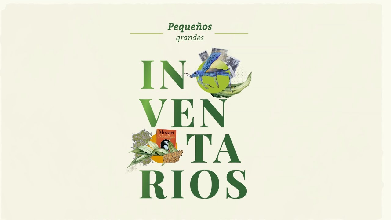 Pequeños grandes inventarios