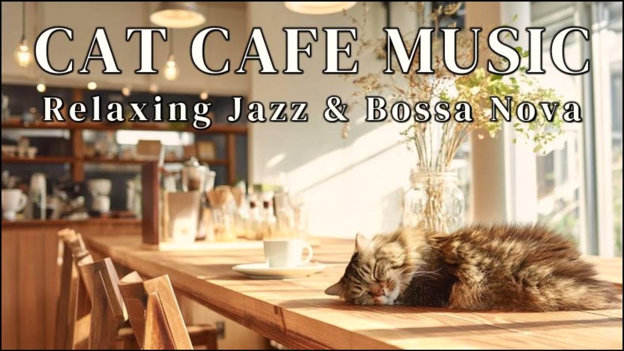 【お昼の猫カフェ】軽やかなボサノバBGM｜ランチ・作業用 (Lunchtime Cat Cafe | Light Bossa Nova BGM for Lunch & Work)