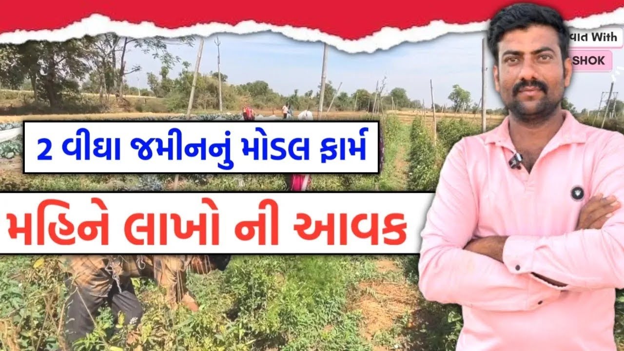 માત્ર 3 વીઘામાં પ્રાકૃતિક મોડલ ફાર્મ બનાવી મહિને લાખોની કમાણી | ASHOK SONGARA | #ashoksongara