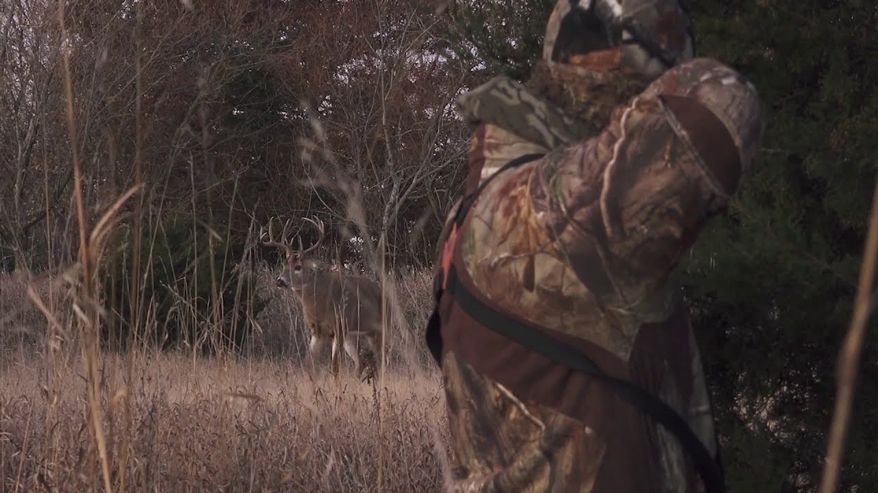 How to Hunt Each Phase of the Rut