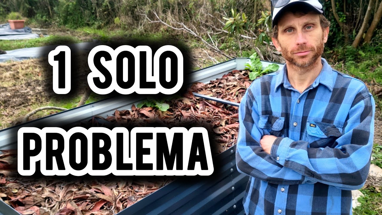 Orto rialzato: vale davvero la pena?