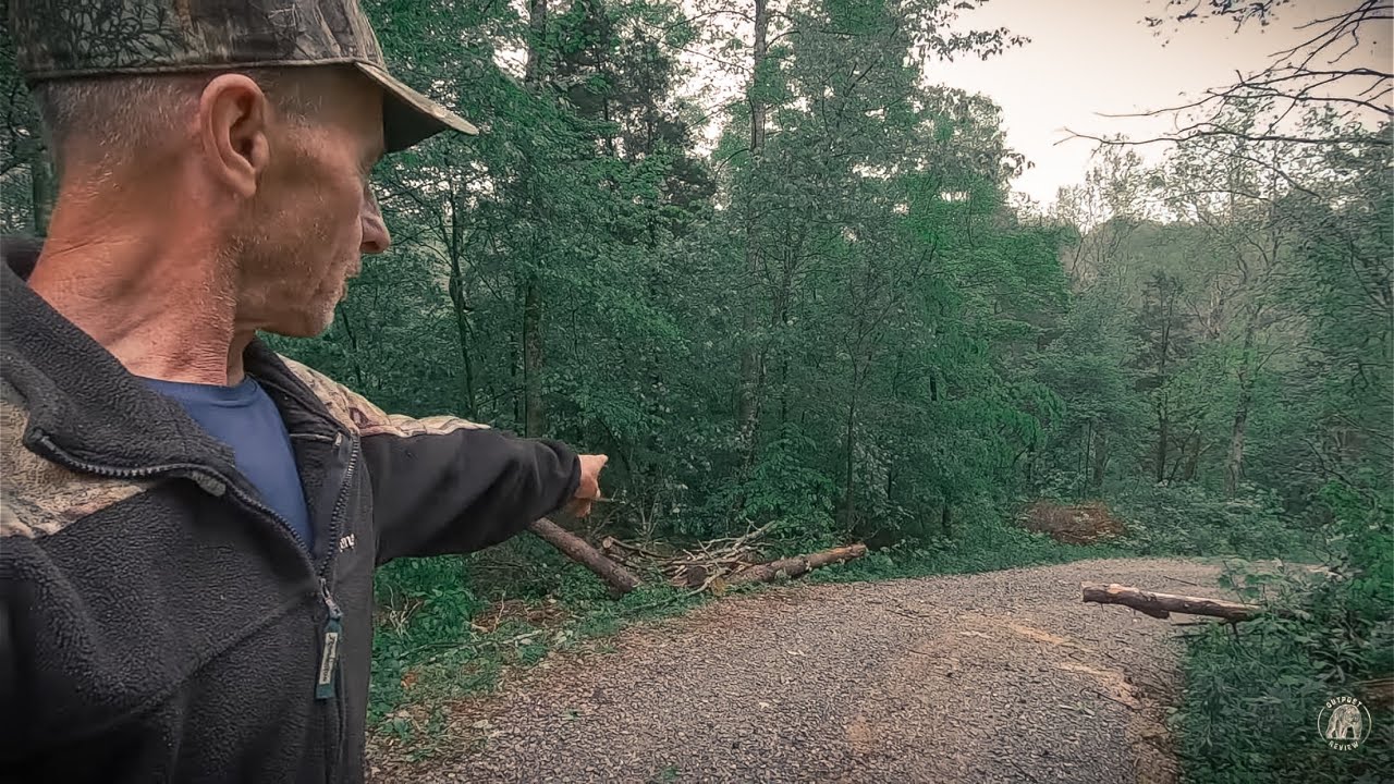 STORM DAMAGE & FOOD PRICE UPDATE | OFF GRID CABIN | TIMBER FRAME