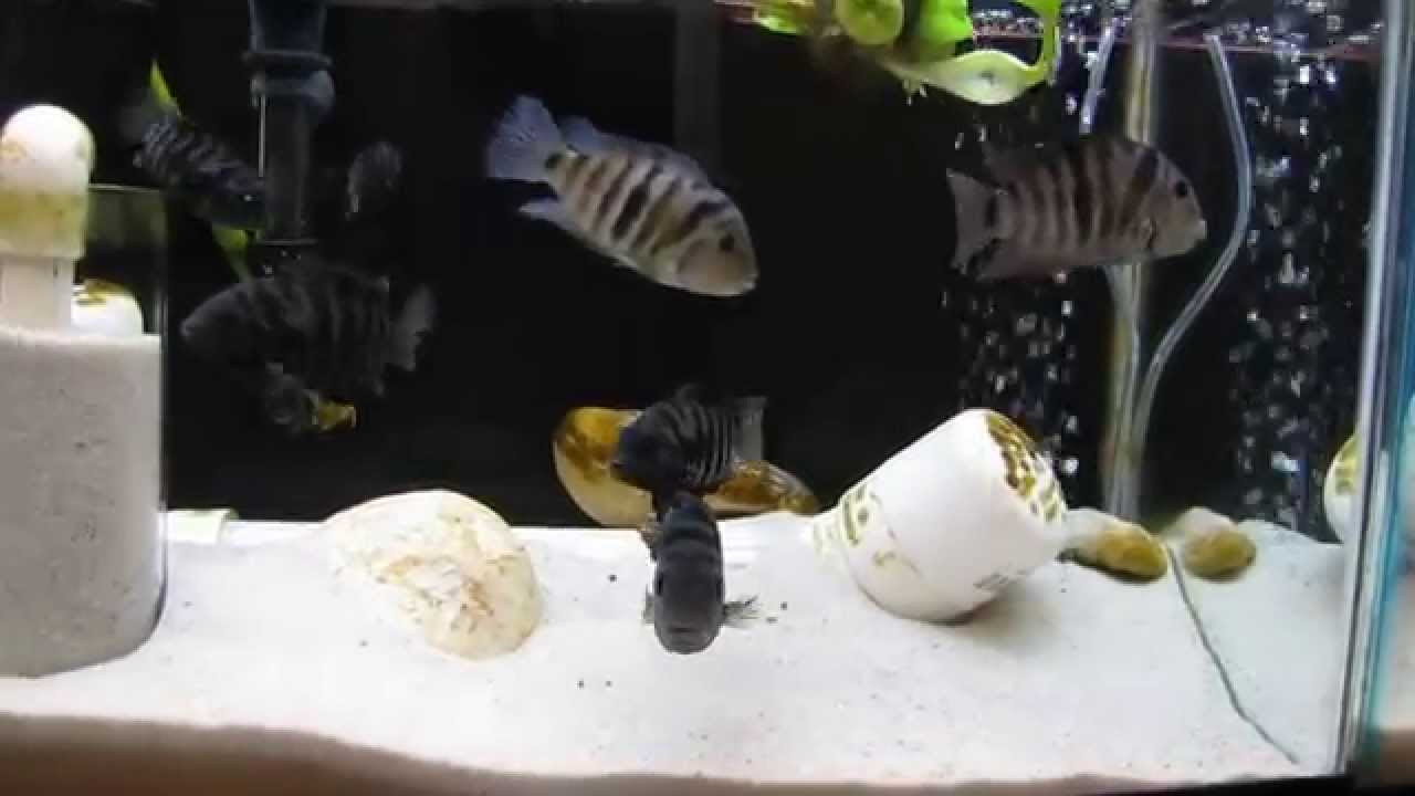 Before & After: Fluidized Sand Filters - FSB