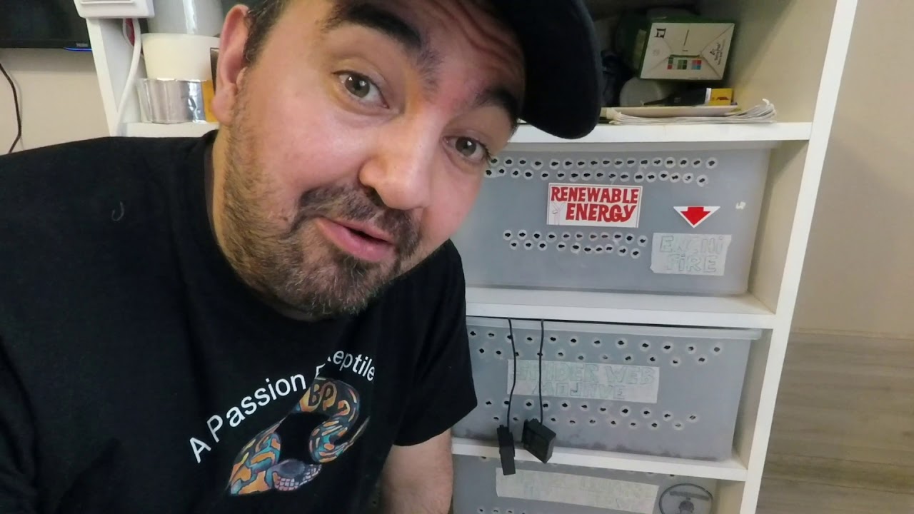 Maternal Incubation & Baby BPs Update