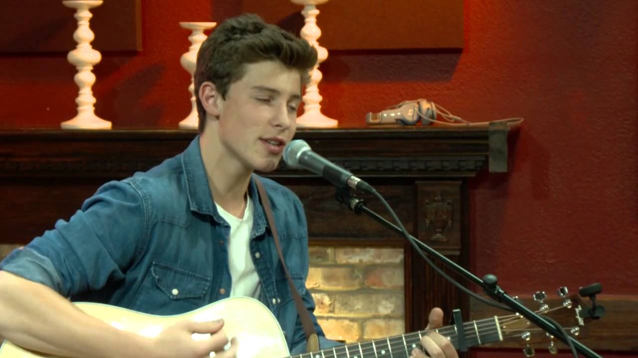 Shawn Mendes - Life of the Party (acoustic)