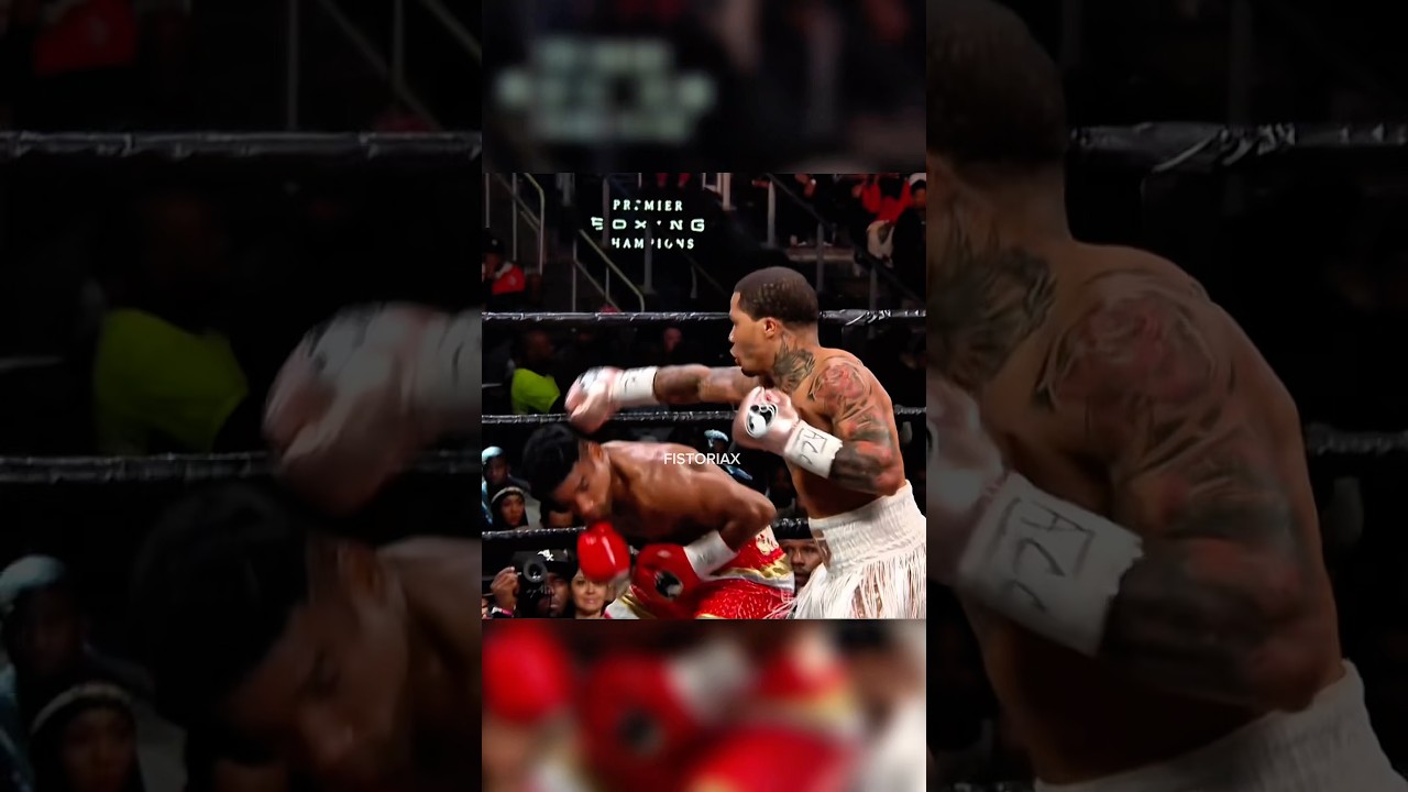 How Elite Boxers React To Predictable Defence 
