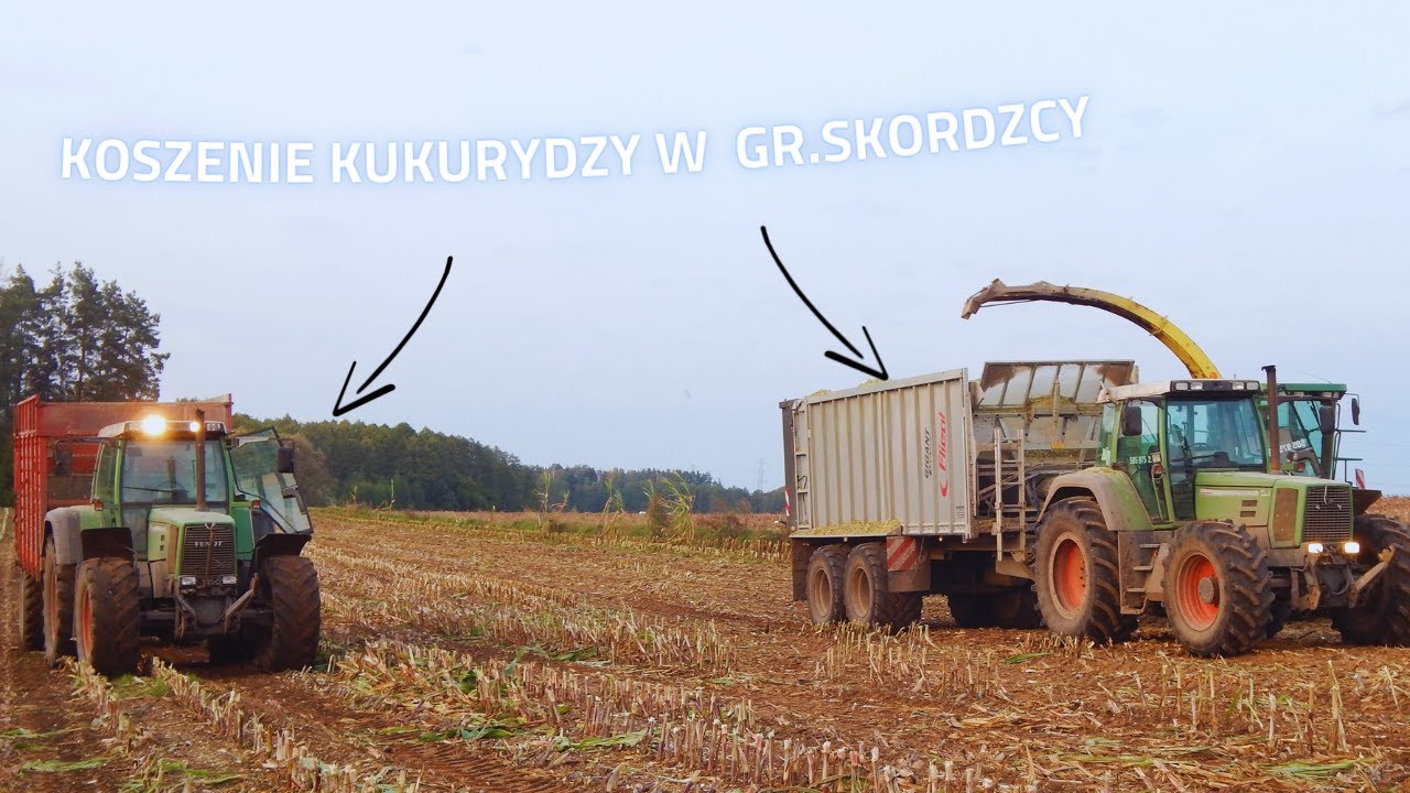 ☆KOSZENIE KUKURYDZY☆ 2021☆ FIRMA ADIAGRO☆ GR.SKRODZCY☆