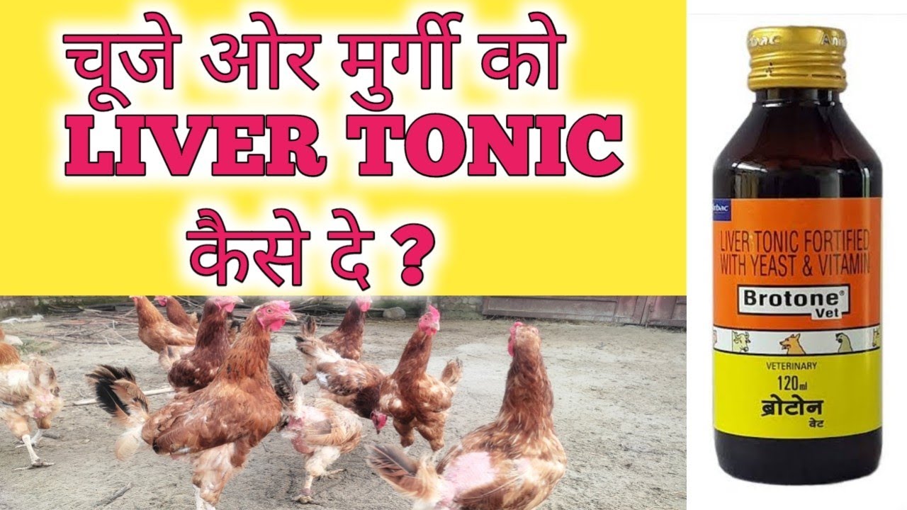 chicks or murgi ko konsa liver tonic de,   Virbac Brotone Vet Liver Tonic  || 2021 ||