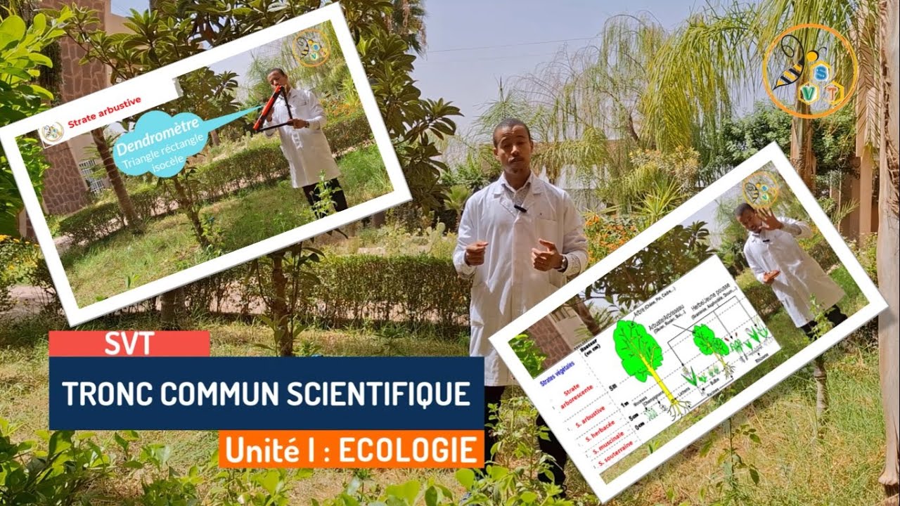 Ecologie (Vidéo 1): définition et méthodes d'étude des communautés végétales/ Méthode physionomique