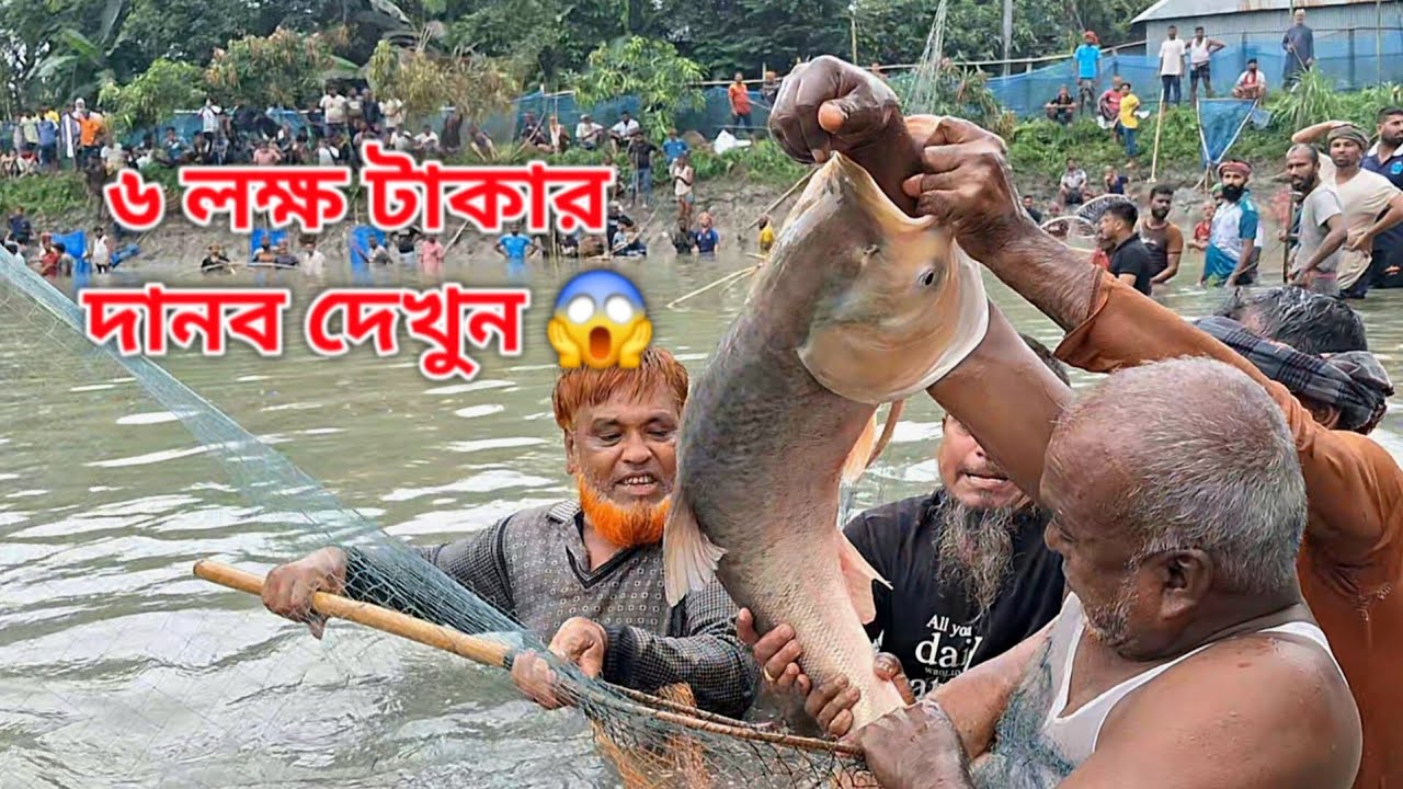 ৬ লক্ষ টাকার খেলায় ধরা পরল বহু বছরের পুরানো বিশাল এক ব্রিগেড মাছ | unbelievable Fishing video! 