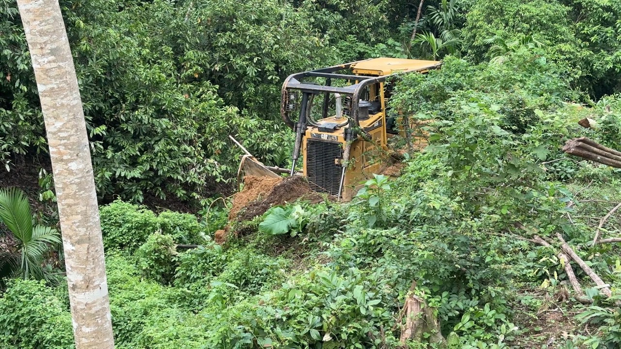 The Greatness of the D6R XL Bulldozer Forms a Core in Steep Oil Palm Plantations