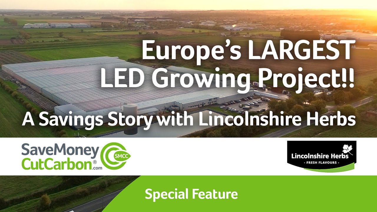 Lincolnshire Herb's £1.7 million specialist Growing LED Project