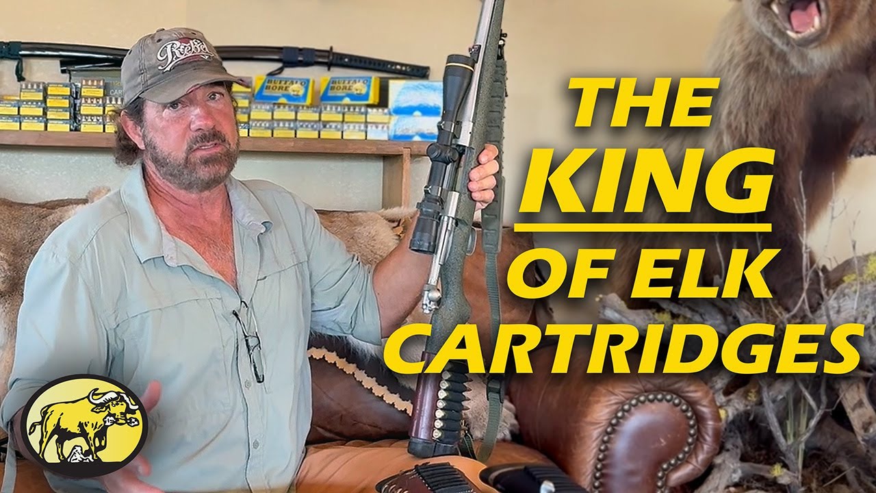 .338 Win Mag против остальных: разбор винтовки Elk