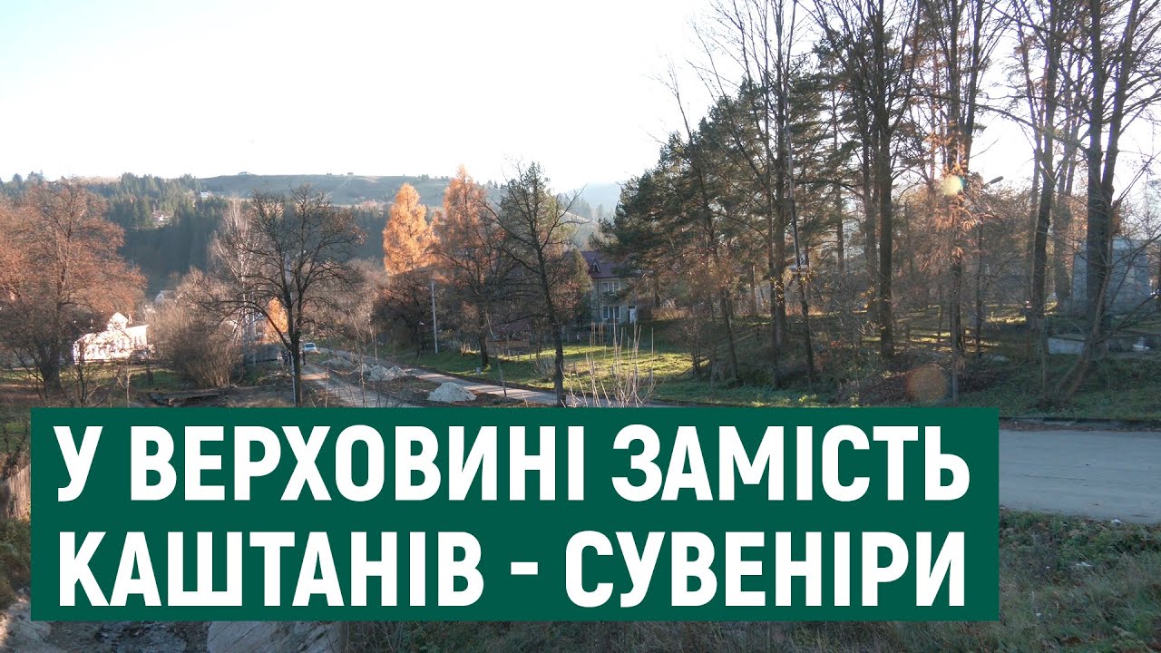 Замість алеї – сувенірний ринок. У Верховині зрізали 60-річні каштани