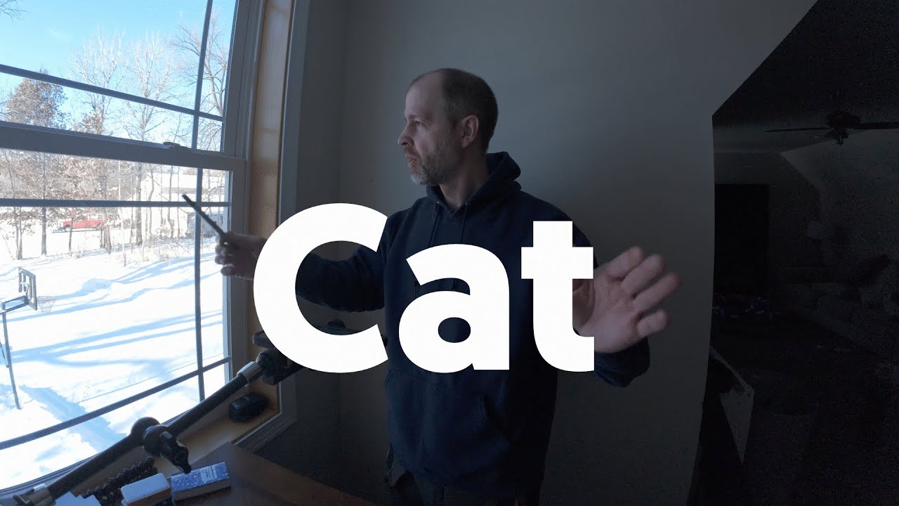 Cat Drawing