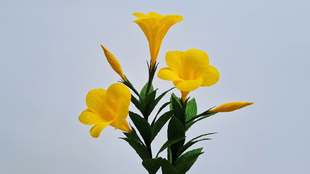 How To Make Allamanda Paper Flower / Paper Flower / Góc nhỏ Handmade