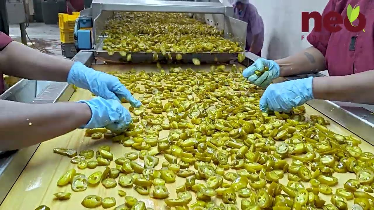 Neo Foods I Deliciously Leading Innovation in Food