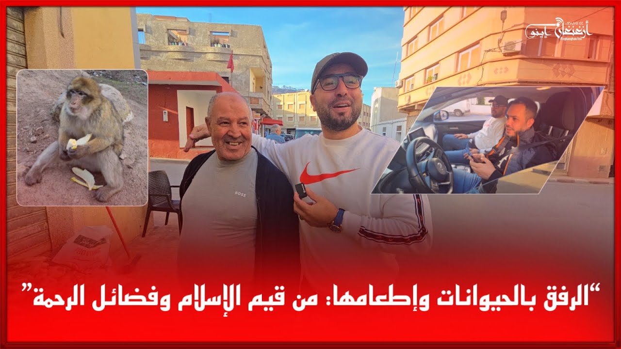 🔴الرفق بالحيوانات وإطعامها: من قيم الإسلام وفضائل الرحمة”