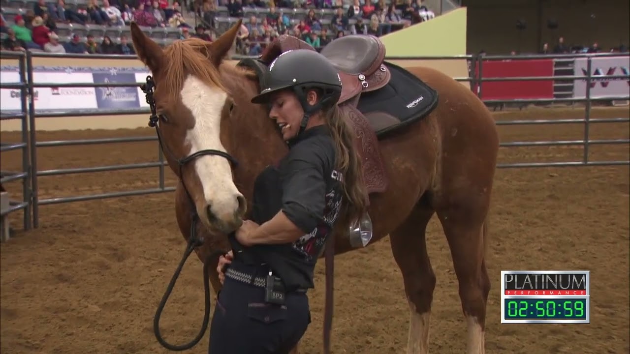 Road to the Horse 2019 - Round Two