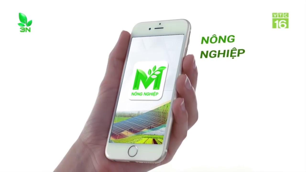Những cách chống nóng cho gà đơn giản mà hiệu quả