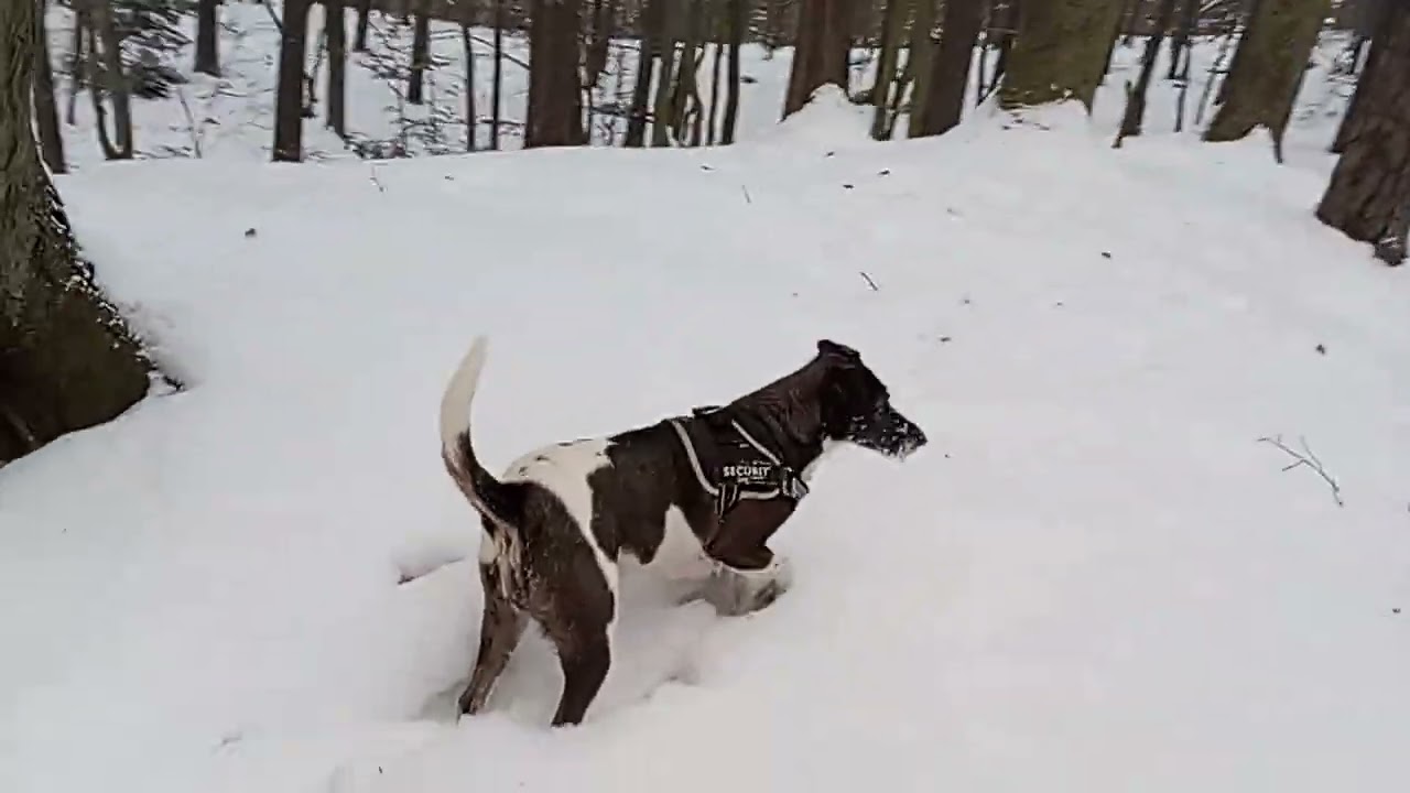 #Milka Knee-deep snow