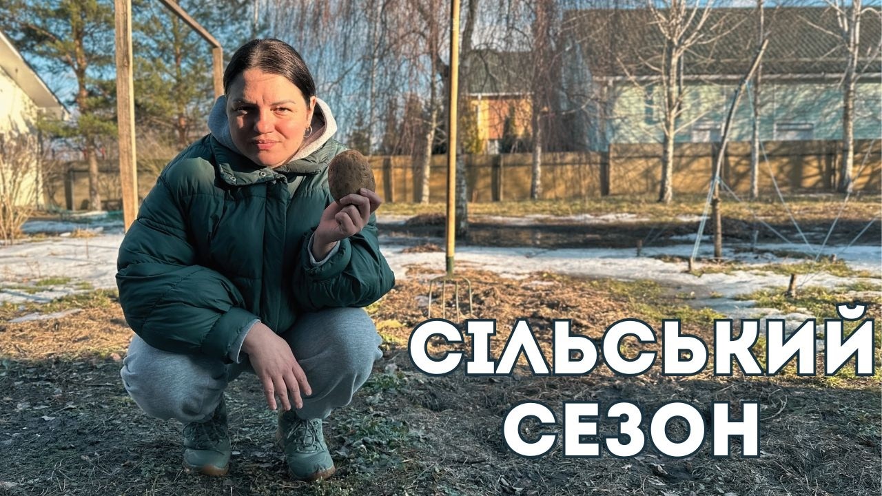 Проєкт 