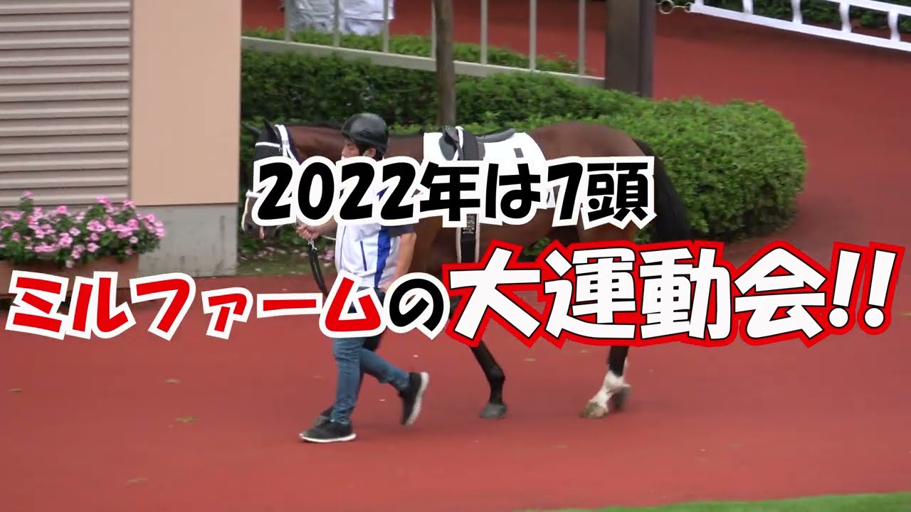 【ミルファーム】2022 大運動会に北海道静内農業高校の生産馬が菜七子騎乗で出走 現地映像