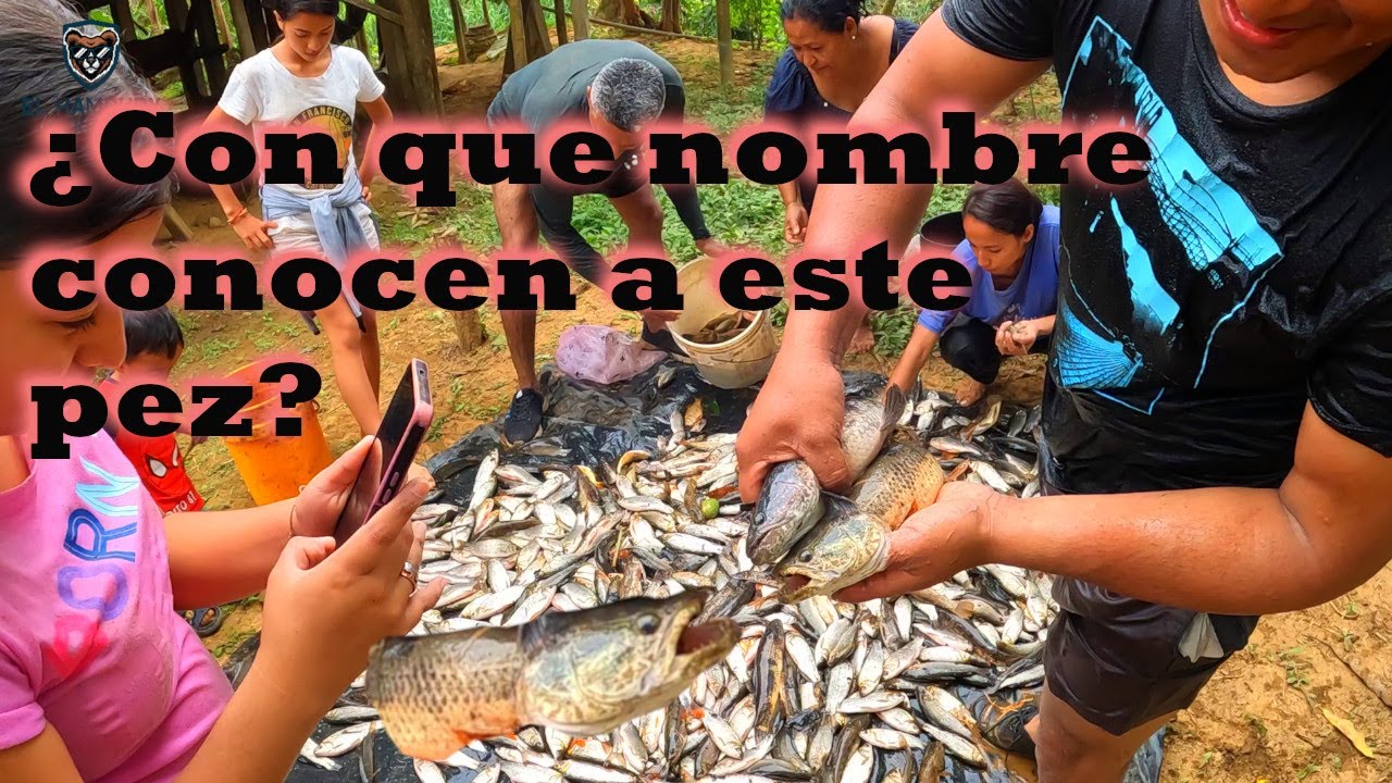 UNA PESCA EN FAMILIA RECORDANDO VIEJOS TIEMPOS QUE NO VOLVERAN .