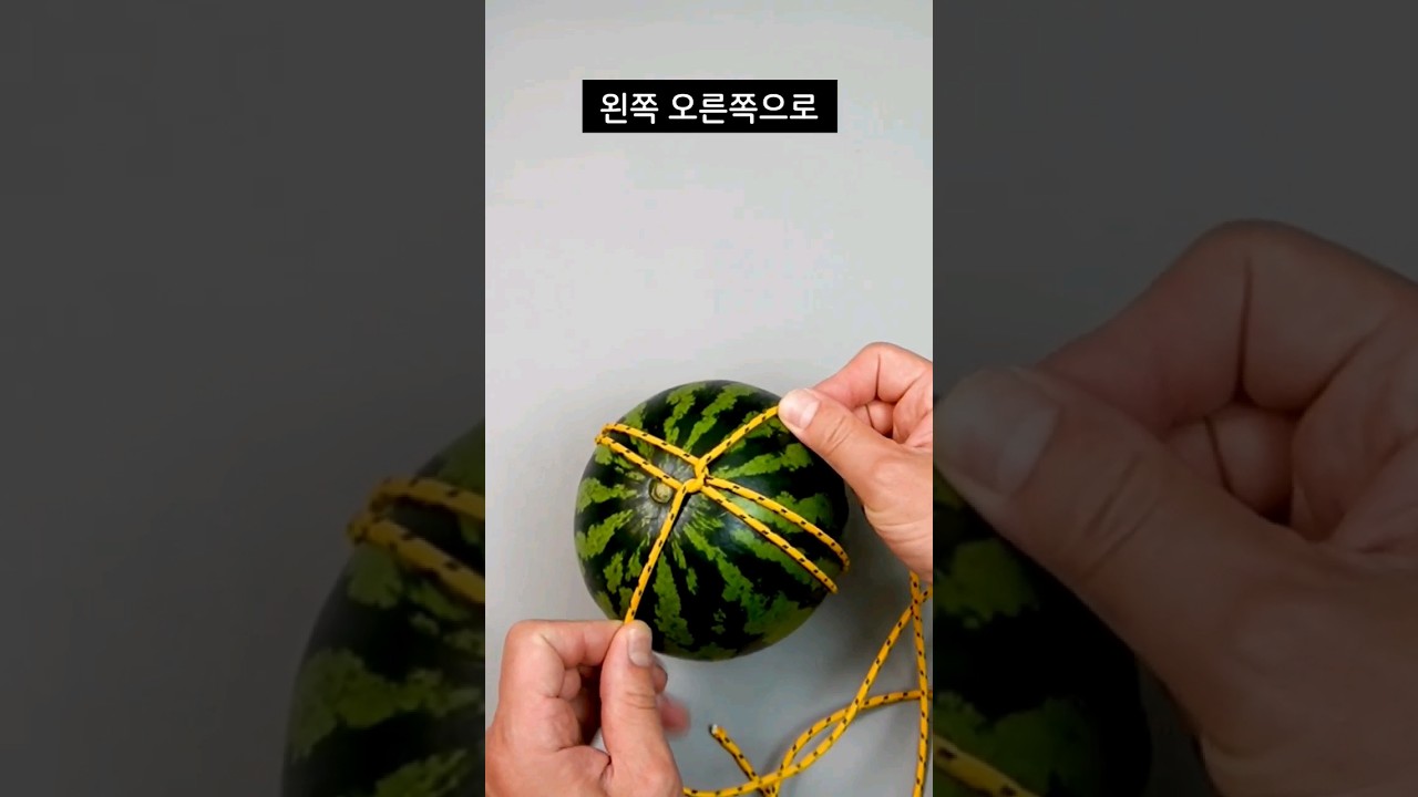 🍉 수박  좋아하는 친구에게 꼭 알려주세요🔈🔈🔈#수박#캠핑#매듭#꿀팁 #만들기 #로프#생존#릴스 #영상