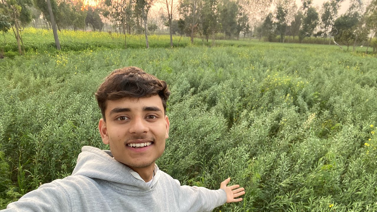 Today is forest tour