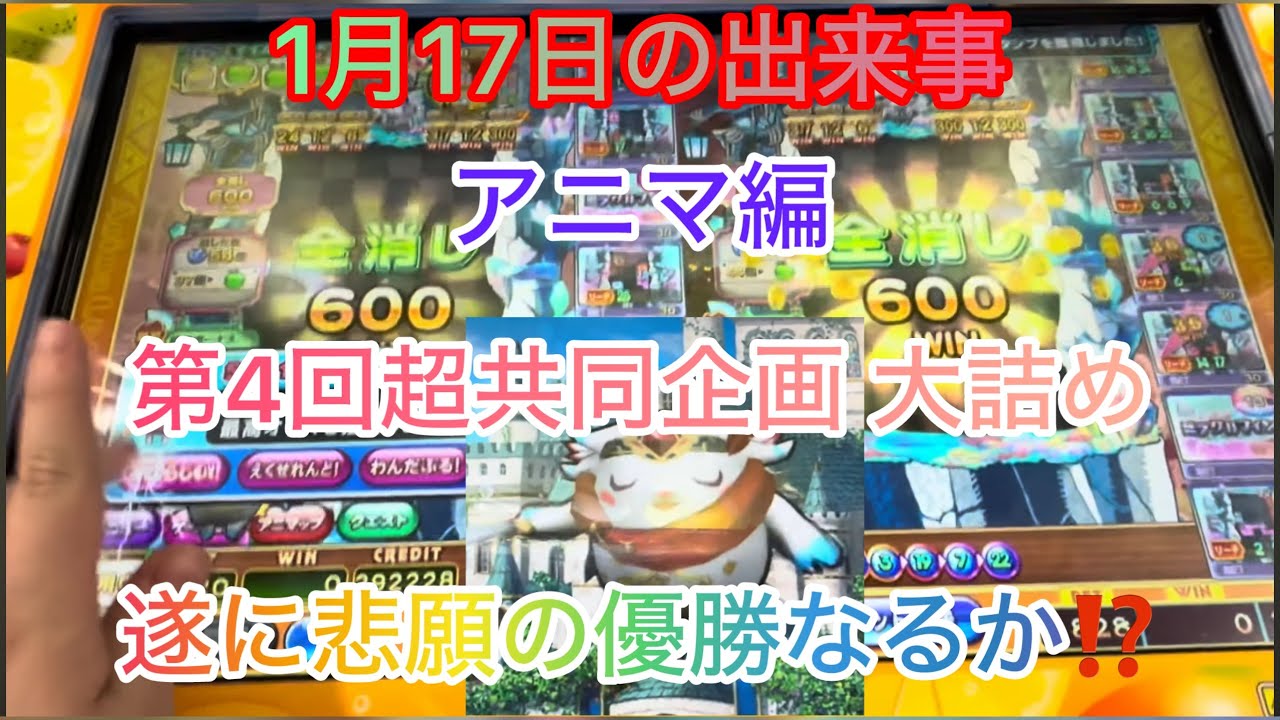 【ロッタ系】1月17日の出来事 第4回超共同企画開催 アニマロッタ編 追い込み‼️今回の激闘の優勝は誰の手に⁉️