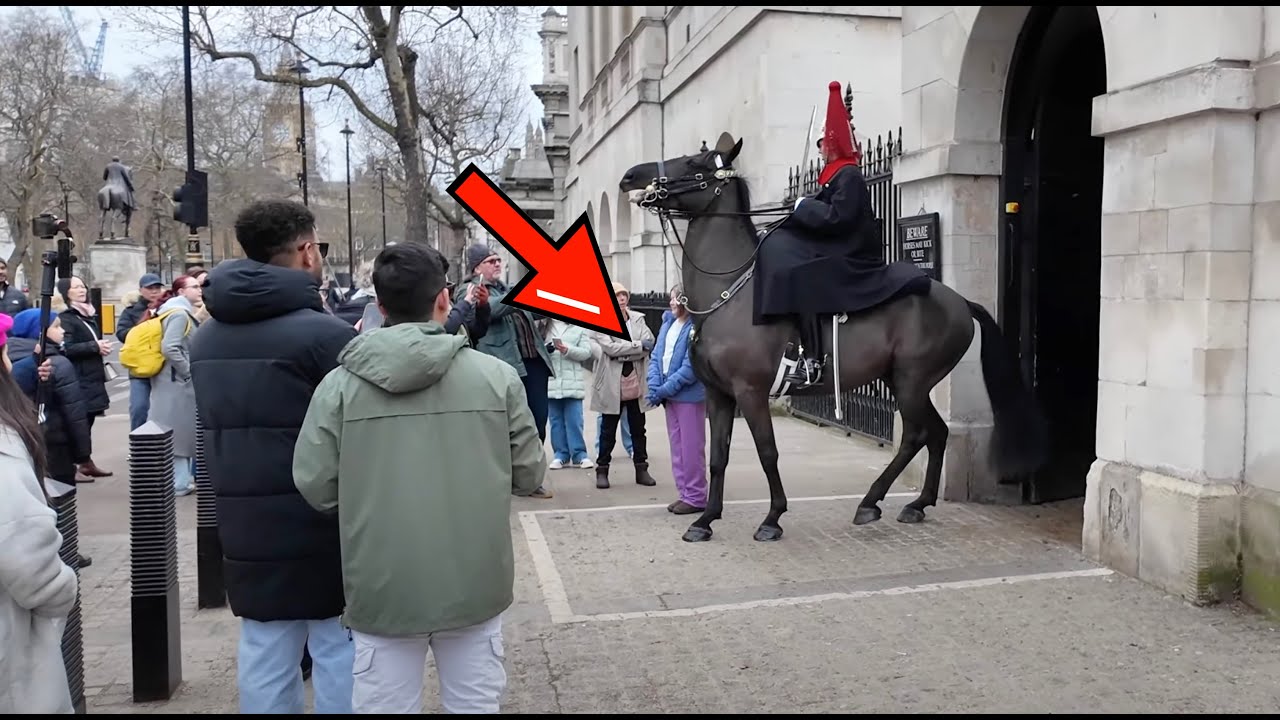 Guard Charges his Horse Forward, Reprimands them GET OUT OF THE BOX, MOVE BACK.