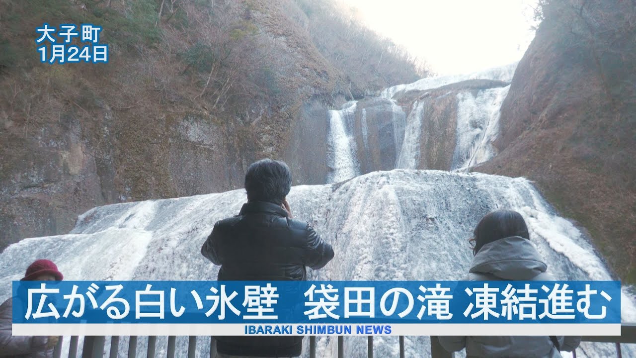 広がる氷壁 袋田の滝 凍結進む  大子